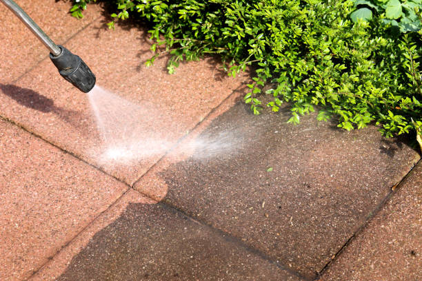 Best Best Pressure Washing Companies  in Juno Beach, FL