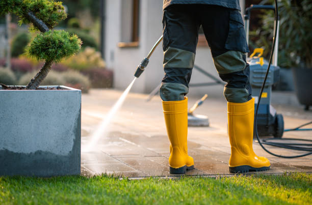 Local Pressure Washing Services